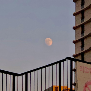 亚洲乱码尤物193yw在线播放
